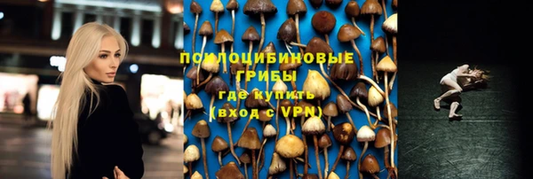 твердый Белокуриха