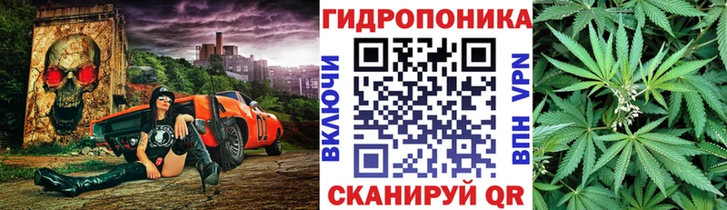 Каннабис ГИДРОПОН  mega зеркало  Михайлов 